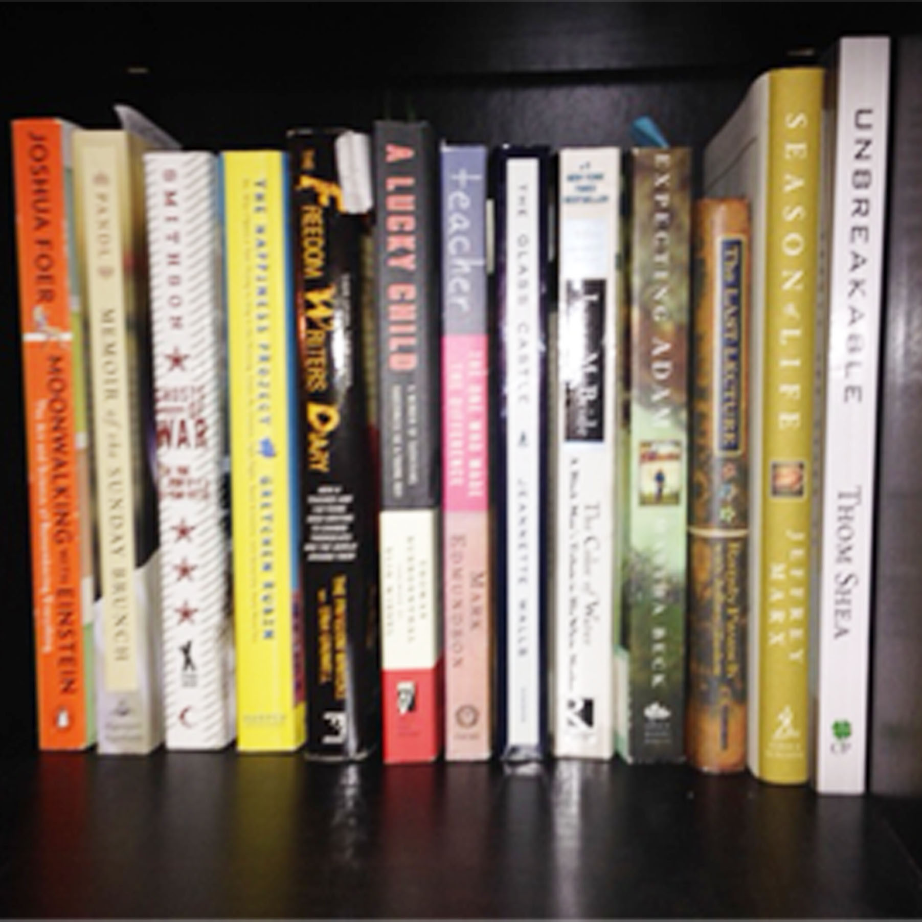 A photo of A set of books on a bookshelf representing Sunday Dinner Stories's LIfe Story Library.